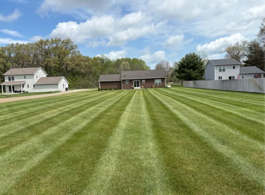 Mowed lawn