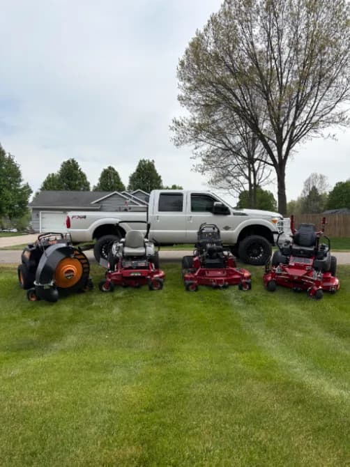 Mowed front yard
